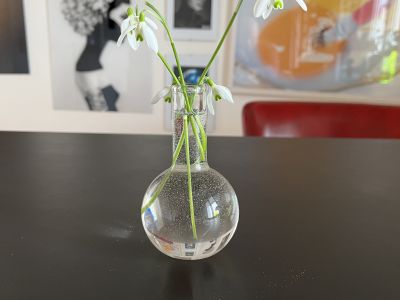 Schöne 2-Zimmerwohnung zu vermieten