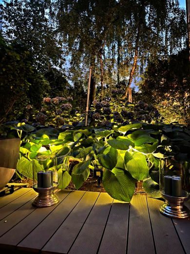 Traum-Loftwohnung in saniertem Altbau in Top Lage Unterbilk/Medienhafen