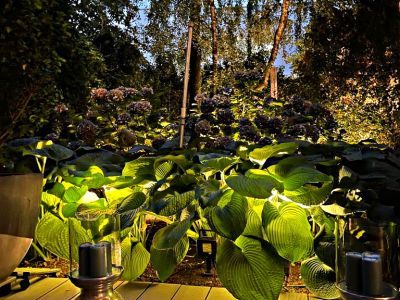 Traum-Loftwohnung in saniertem Altbau in Top Lage Unterbilk/Medienhafen