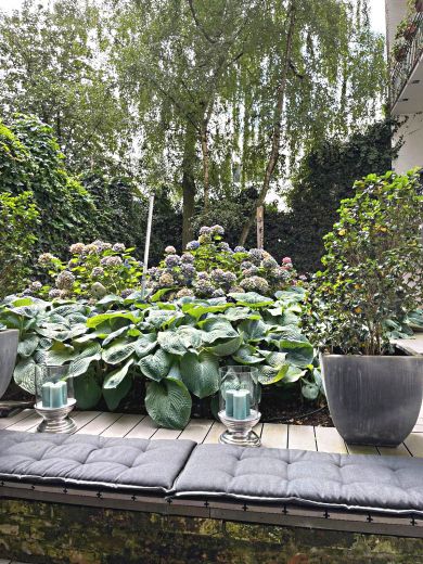 Traum-Loftwohnung in saniertem Altbau in Top Lage Unterbilk/Medienhafen