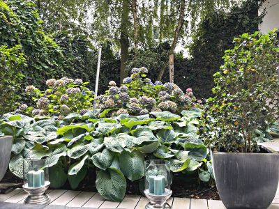 Traum-Loftwohnung in saniertem Altbau in Top Lage Unterbilk/Medienhafen