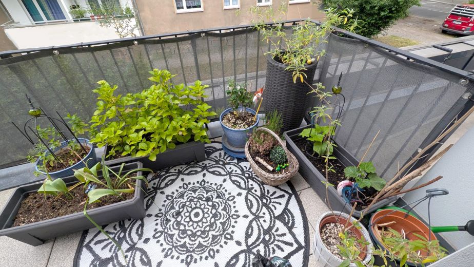 Komponistenviertel - große, moderne und familienfreundliche Wohnung