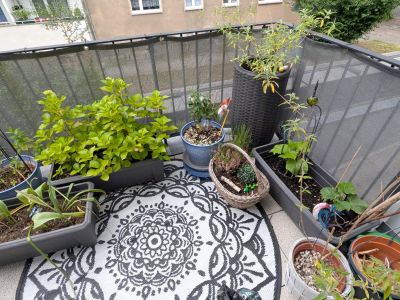 Komponistenviertel - große, moderne und familienfreundliche Wohnung