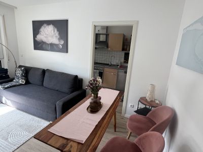 Vollmöblierte 1-Zimmer-Wohnung direkt am Main | Wohnen auf Zeit ab 01.01.2026