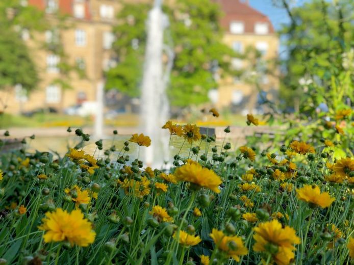 STADT GLÜCK - Beste Lage, modern und alles dabei! Jetzt mieten