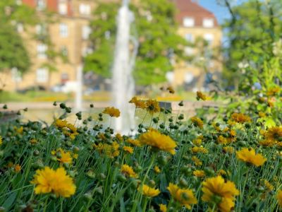 STADT GLÜCK - Beste Lage, modern und alles dabei! Jetzt mieten