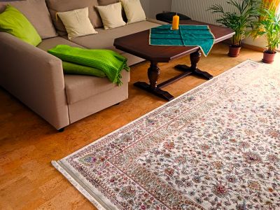 M&ouml;blierte 3-Zimmer-Wohnung in ruhiger Gr&uuml;nlage mit gro&szlig;em Garten-Vermietung auf Zeit f&uuml;r Berufspendler