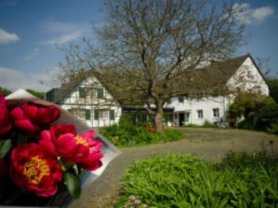 Dachgeschosswohnung in gr&uuml;ner Oase