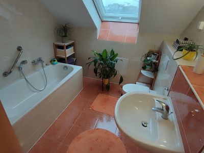 M&ouml;blierte 3-Zimmer Maisonette-Wohnung mit Balkon in Halle (Saale)