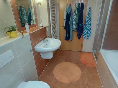 M&ouml;blierte 3-Zimmer Maisonette-Wohnung mit Balkon in Halle (Saale)