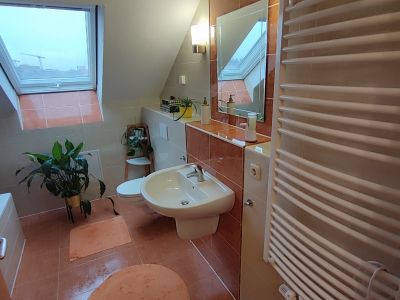 M&ouml;blierte 3-Zimmer Maisonette-Wohnung mit Balkon in Halle (Saale)