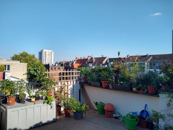 Wohnung m&ouml;bliert mit Dachterrasse