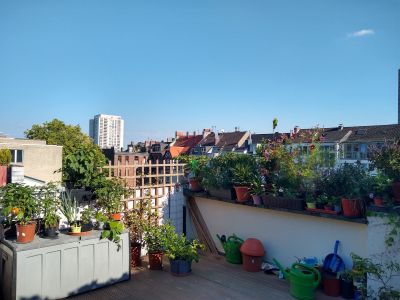 Wohnung m&ouml;bliert mit Dachterrasse