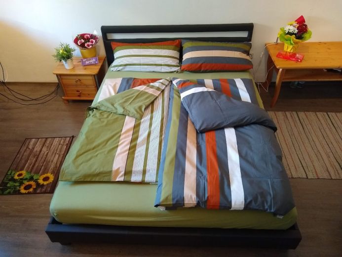 Wohnung m&ouml;bliert mit Dachterrasse