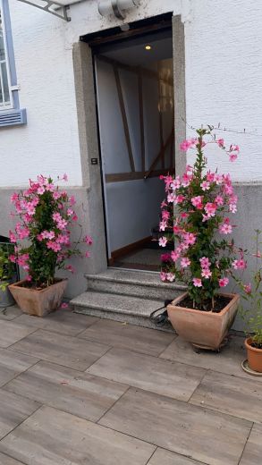 Zwei Zimmer Wohnung im Rhein-Gebiet zu vermieten