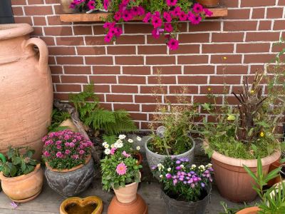 Zwei Zimmer Wohnung im Rhein-Gebiet zu vermieten