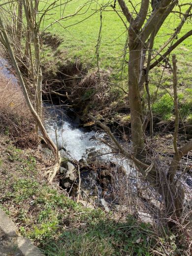 Zwei Zimmer Wohnung im Rhein-Gebiet zu vermieten