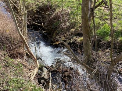 Zwei Zimmer Wohnung im Rhein-Gebiet zu vermieten
