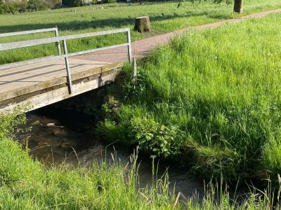 Zwei Zimmer Wohnung im Rhein-Gebiet zu vermieten