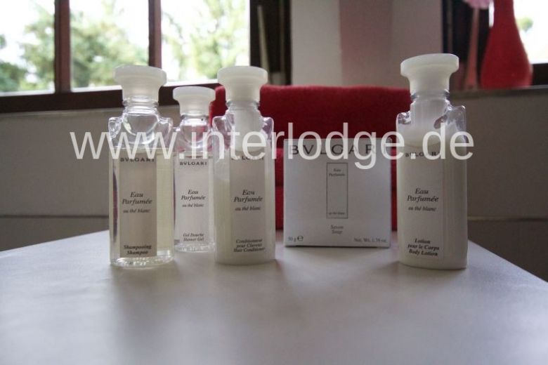 INTERLODGE Traumhafte Loftwohnung in herrschaftlicher Villa in Neuss - Holzheim