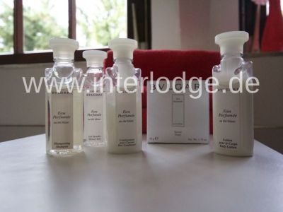 INTERLODGE Traumhafte Loftwohnung in herrschaftlicher Villa in Neuss - Holzheim