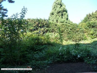 41 qm vollm&ouml;bliertes Apartment in K&ouml;ln Rodenkirchen