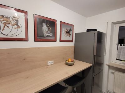 M&ouml;blierte 2-Zimmer-Wohnung mit Terrasse in Rosenheim