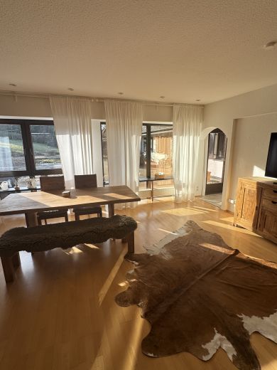 Hochwertige Wohnung voll m&ouml;bliert mit Kamin l&auml;ndlich gelegen mit Top Verkehrsanbindung