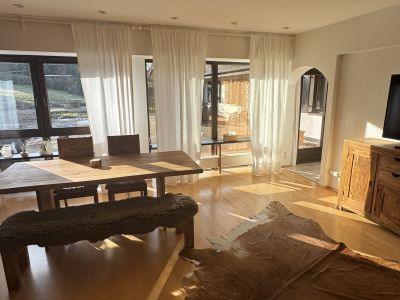 Hochwertige Wohnung voll m&ouml;bliert mit Kamin l&auml;ndlich gelegen mit Top Verkehrsanbindung