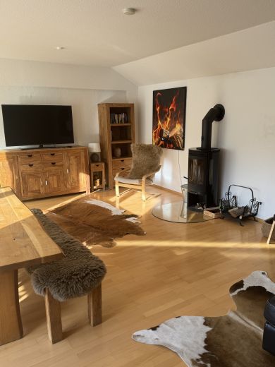 Hochwertige Wohnung voll m&ouml;bliert mit Kamin l&auml;ndlich gelegen mit Top Verkehrsanbindung