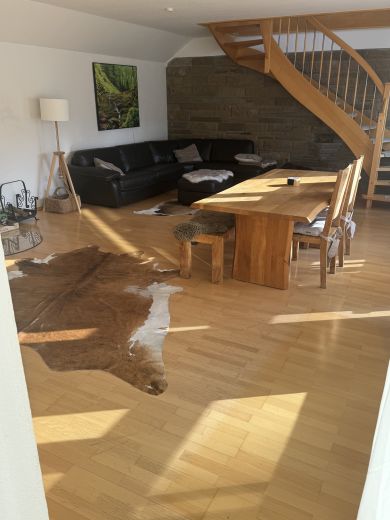 Hochwertige Wohnung voll m&ouml;bliert mit Kamin l&auml;ndlich gelegen mit Top Verkehrsanbindung