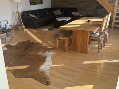 Hochwertige Wohnung voll m&ouml;bliert mit Kamin l&auml;ndlich gelegen mit Top Verkehrsanbindung