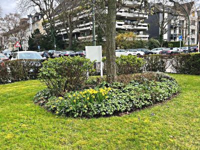 Top-Lage in D&uuml;sseltal: 2,5 Zimmer Wohnung mit Garage im Haus!