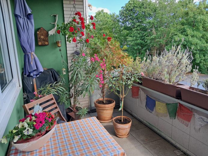 Helle Wohnung in K&ouml;ln-Bilderst&ouml;ckchen