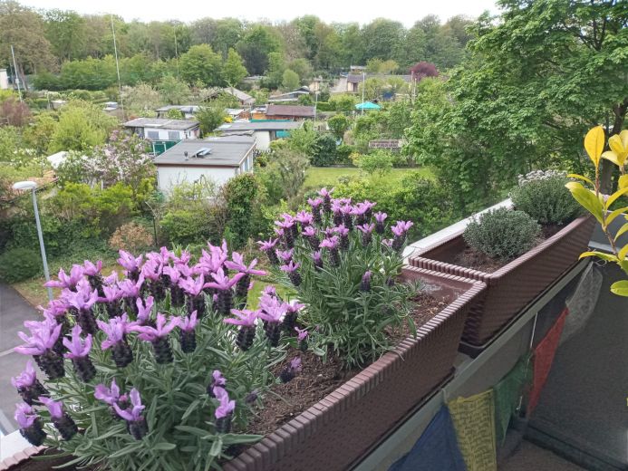 Helle Wohnung in K&ouml;ln-Bilderst&ouml;ckchen