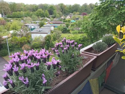 Helle Wohnung in K&ouml;ln-Bilderst&ouml;ckchen