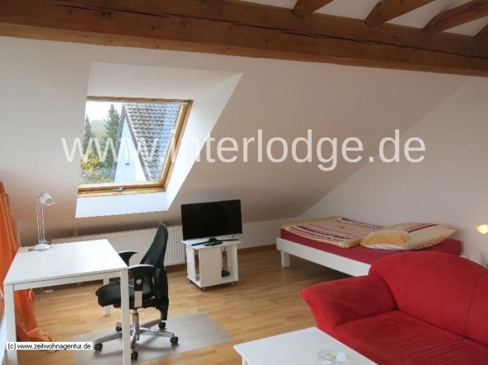 INTERLODGE  Modern m&ouml;bliertes Apartment in Bonn