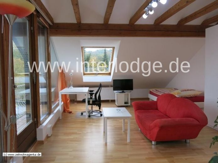 INTERLODGE  Modern m&ouml;bliertes Apartment in Bonn