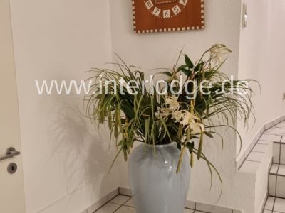 INTERLODGE Wohnen auf Zeit: &Uuml;ber 2000 gut m&ouml;blierte Wohnungen