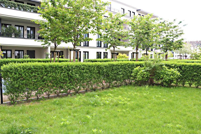 3-Zimmer Terrassen-Wohnung im Belsenpark Oberkassel