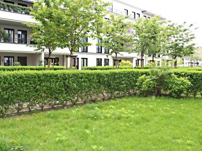 3-Zimmer Terrassen-Wohnung im Belsenpark Oberkassel