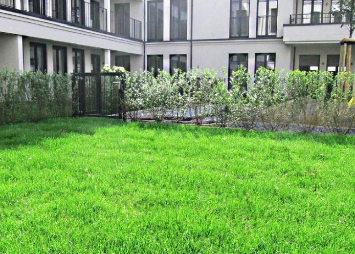 3-Zimmer Terrassen-Wohnung im Belsenpark Oberkassel