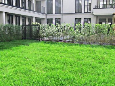3-Zimmer Terrassen-Wohnung im Belsenpark Oberkassel