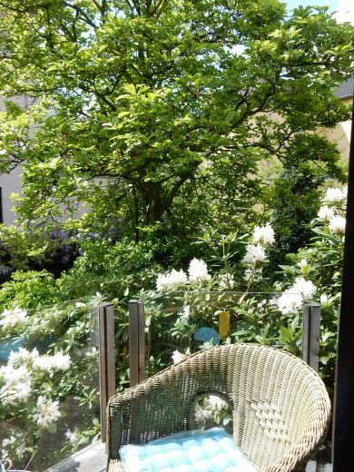 Zentral + ruhig gelegene, perfekt m&ouml;blierte 2-Zi-Wohnung mit Gartenblick