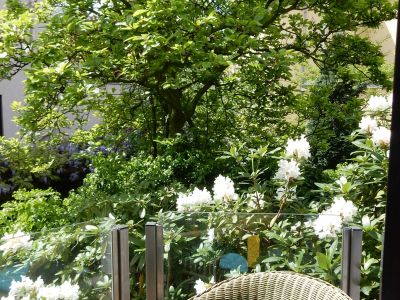 Zentral + ruhig gelegene, perfekt m&ouml;blierte 2-Zi-Wohnung mit Gartenblick