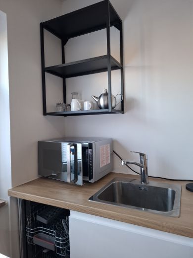 Neue moderne 1 Zi-Wohnung mit excl. Bad und K&uuml;che. Volle Ausstattung mit Klimaanlage. Weingarten bei Karlsruhe.