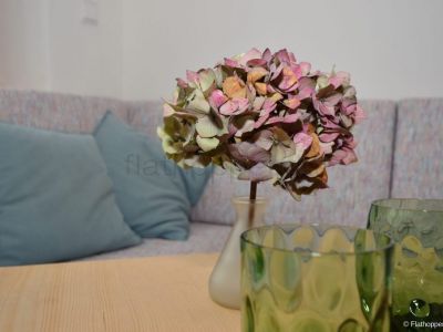 M&ouml;bliertes Apartment in Bad T&ouml;lz