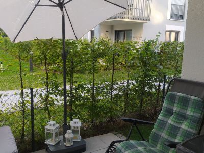 Moebelierte 2 Zimmer Wohnung mit Terasse