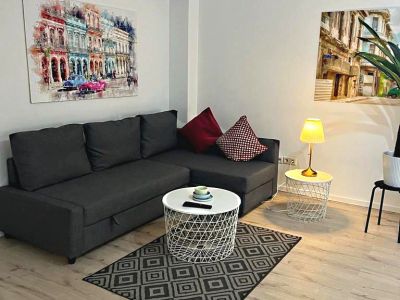 2  Zimmer-Wohnung frisch renoviert und m&ouml;bliert