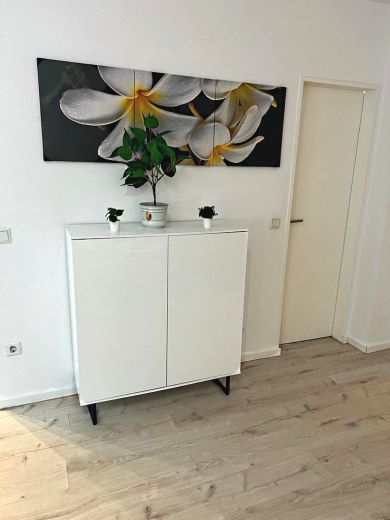 2  Zimmer-Wohnung frisch renoviert und m&ouml;bliert